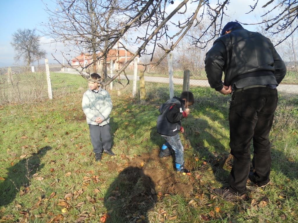 djaci-vocnjak-sadnja-kursumlija.jpg
