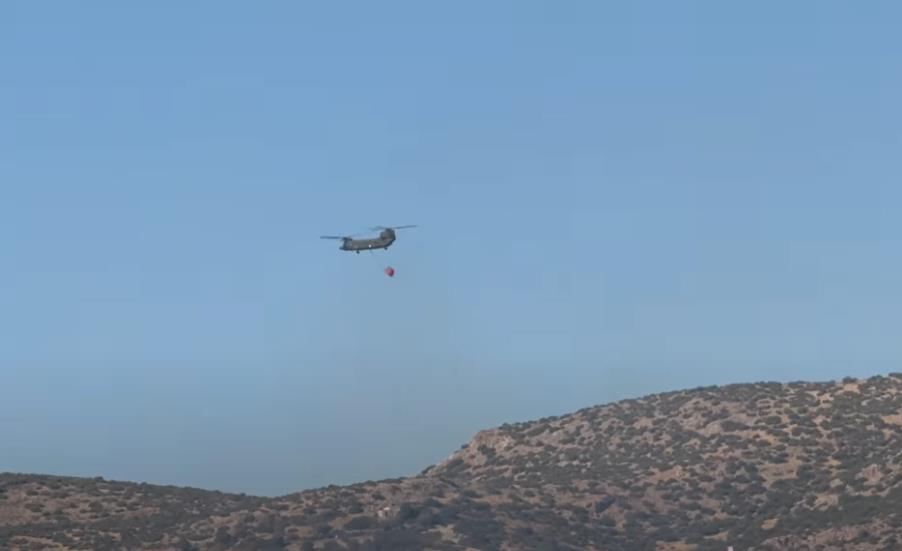 Screenshot 2025-06-26 181208.png