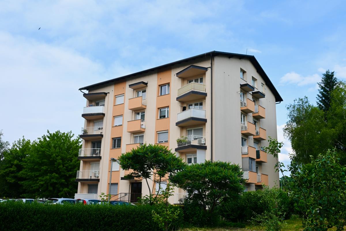 1605MELANIJA TRAMP  marko karovic (4).jpg