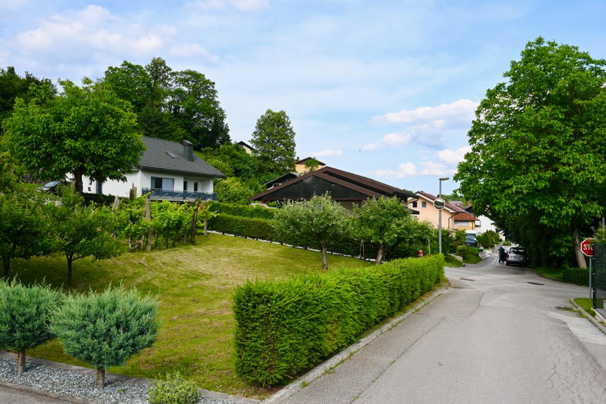 1605MELANIJA TRAMP  marko karovic (8).jpg