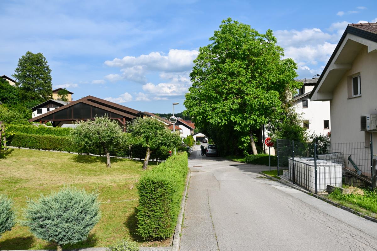 1605MELANIJA TRAMP  marko karovic (10).jpg