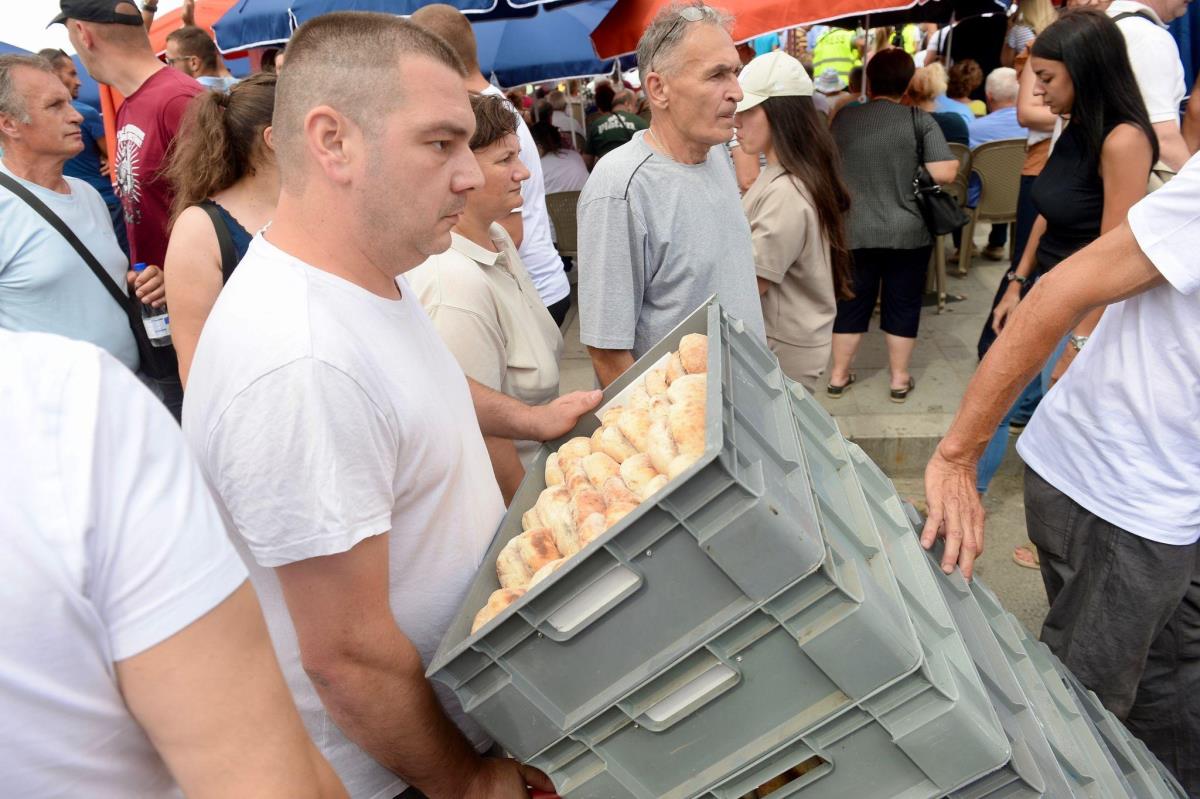 WhatsApp Image 2025-06-28 at 3.27.03 PM (1).jpeg