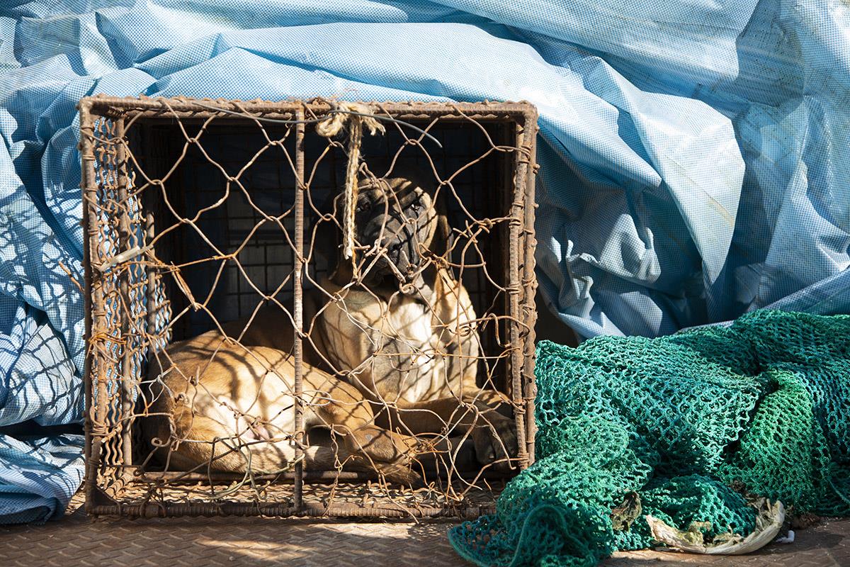 x EPA Jeon Heonkyun.jpg