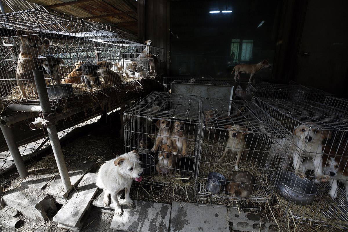 x02 EPA Jeon Heonkyun.jpg