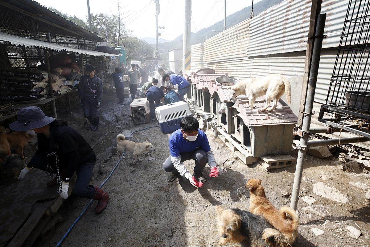 x03 EPA Jeon Heonkyun.jpg