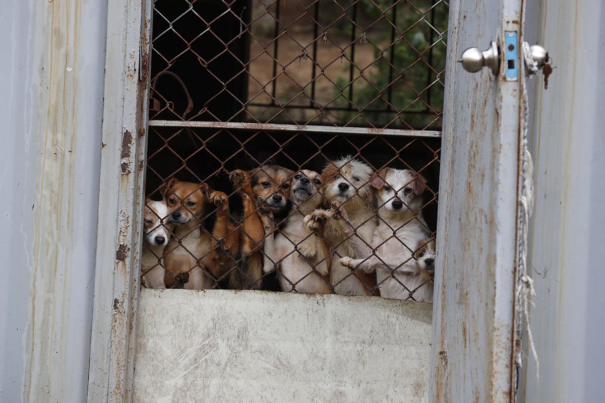 x04 EPA Jeon Heonkyun.jpg