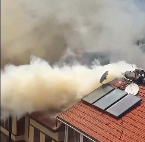 Screenshot 2025-06-29 143908.png