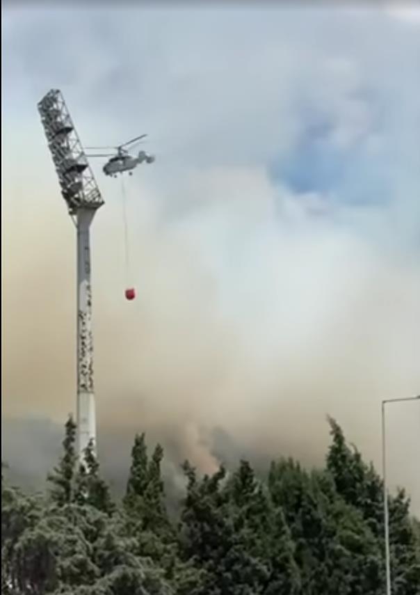 Screenshot 2025-06-29 160556.png