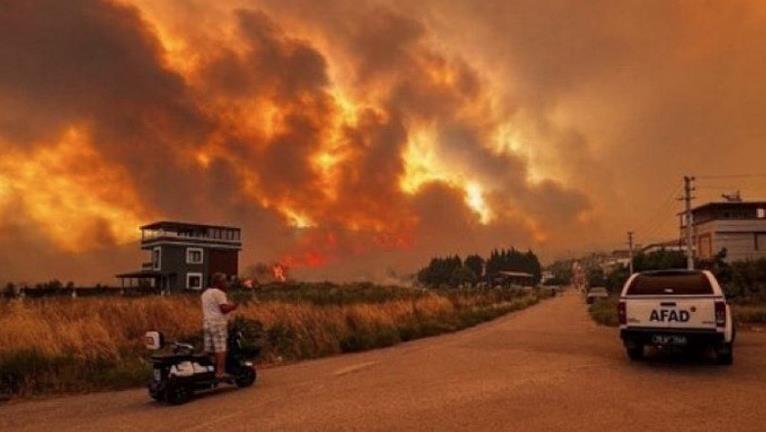 Screenshot 2025-06-30 185449.png