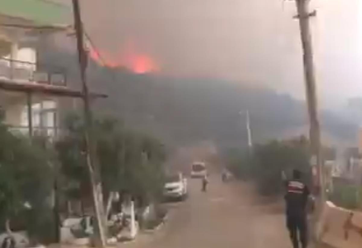 Screenshot 2025-06-30 185507.png