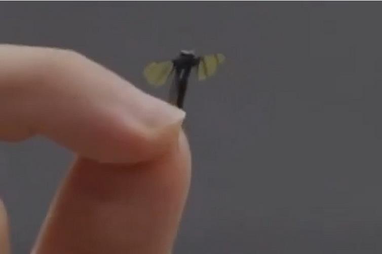 Screenshot 2025-06-30 200602.png