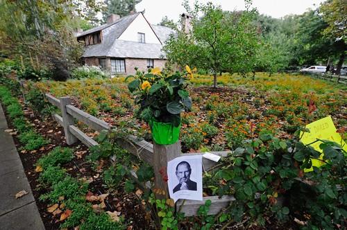 Stiv Džobs profimedia-0075028525.jpg