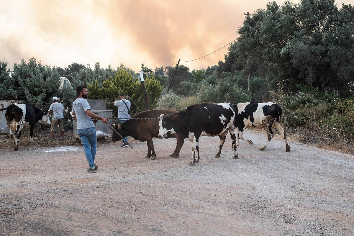 x09 EPA Murat Kocabas.jpg