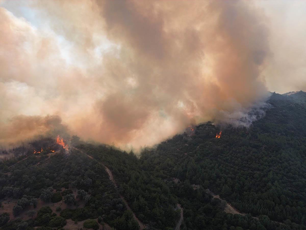 x03 EPA Murat Kocabas.jpg