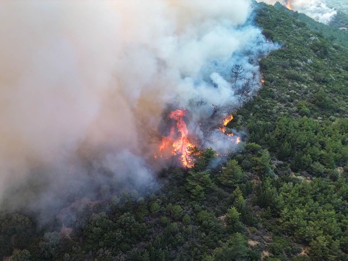 x05 EPA Murat Kocabas.jpg