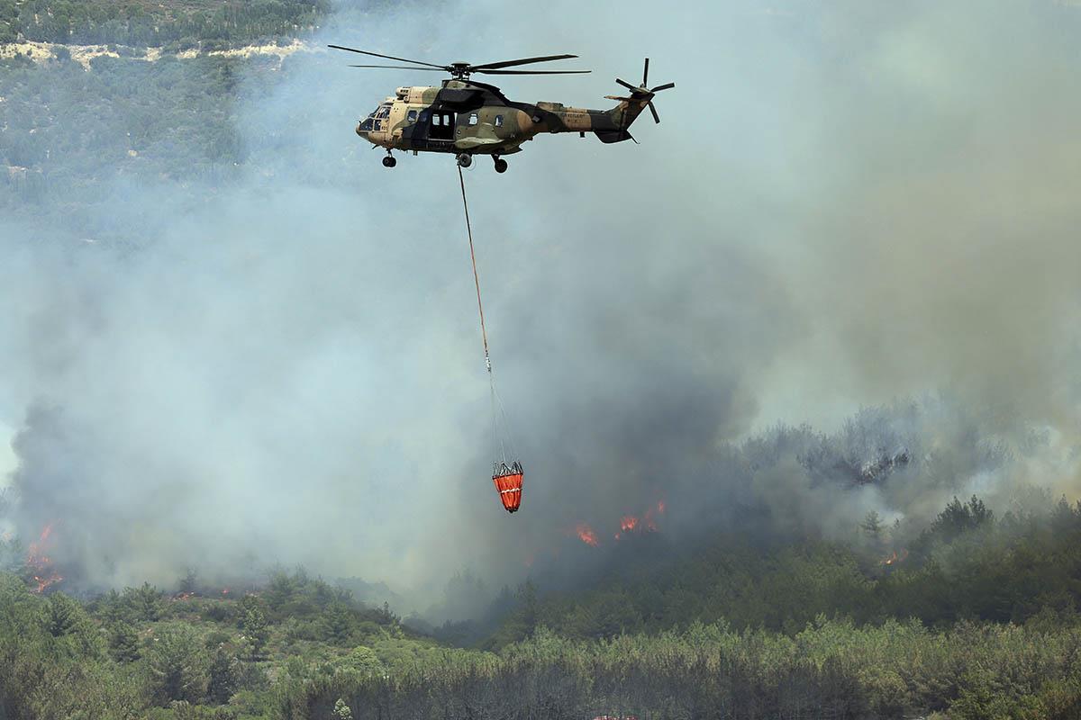 x02 AP Cengiz Malgir.jpg