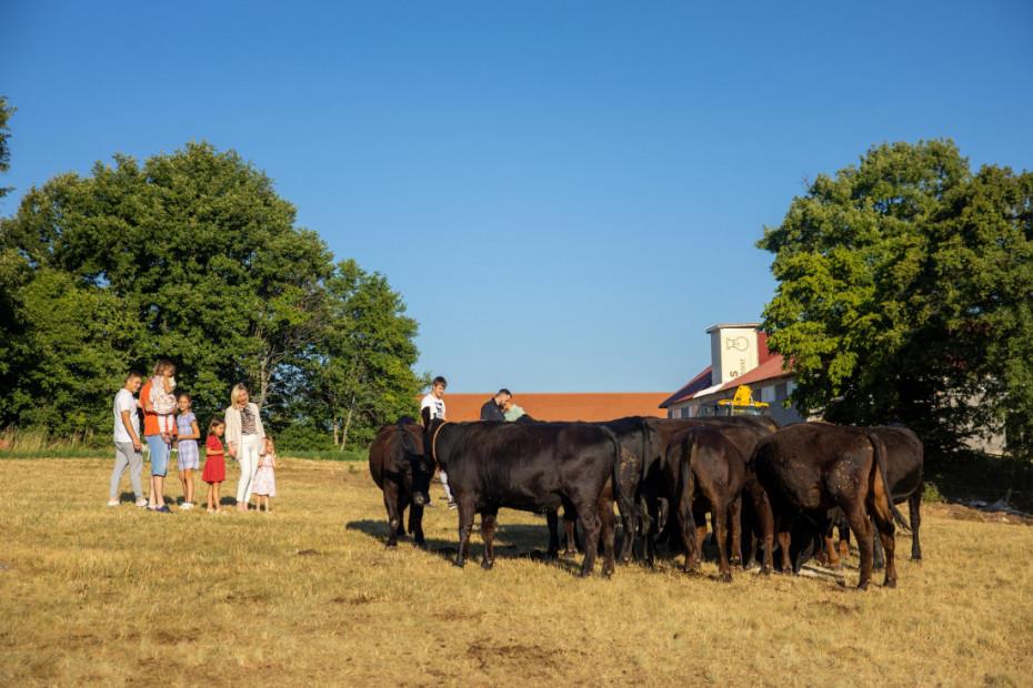 Porodica Stanić iz Stapara ima 11 dece.jpg