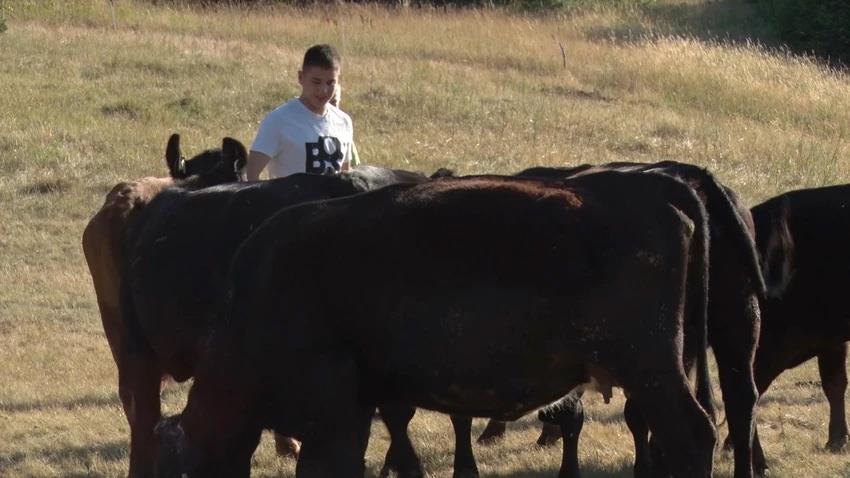 Porodica Stanić iz Stapara ima 11 dece.jpg