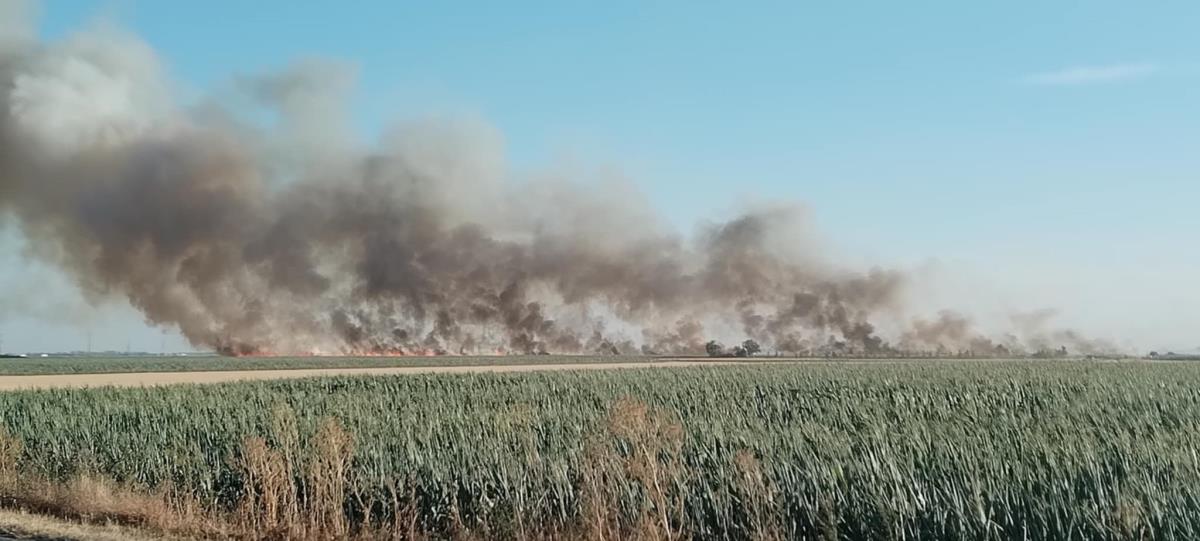 Veliki požar foto s.u..jpg