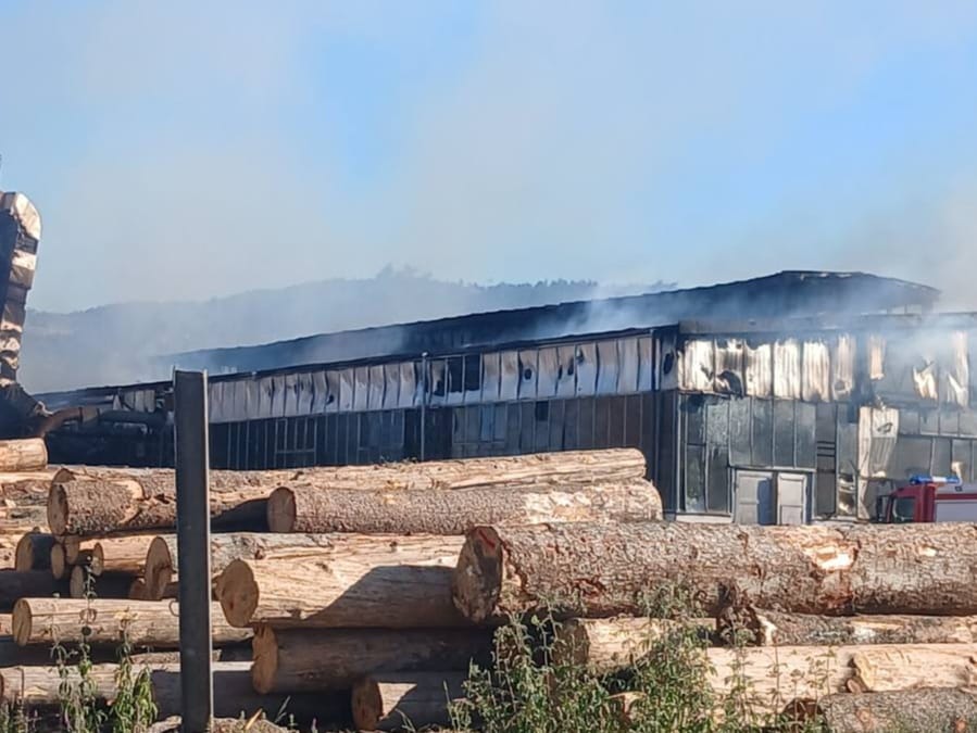 Požari širom Srbije