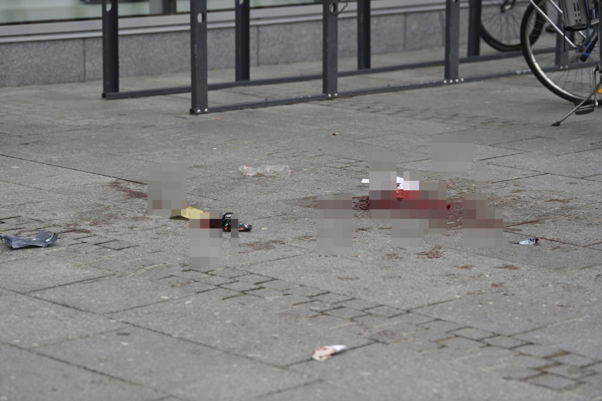 peja AP Saara Peltola.jpg