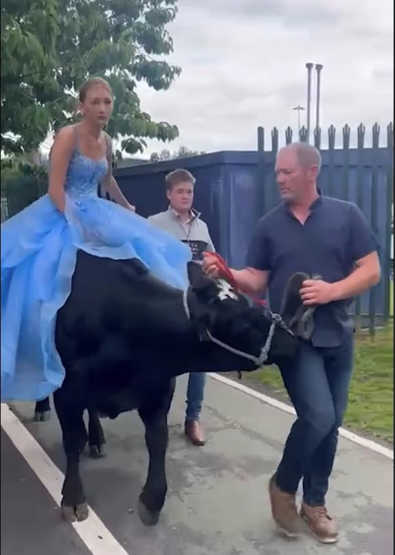 Screenshot 2025-07-04 103309.png