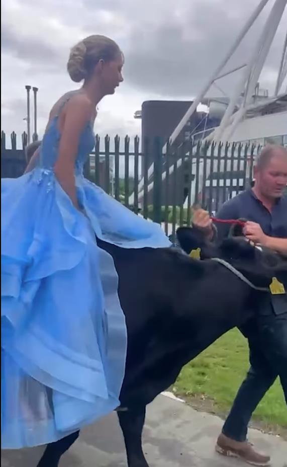 Screenshot 2025-07-04 103345.png