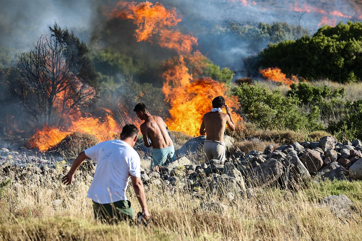 x01 EPA Mert Cakir.jpg