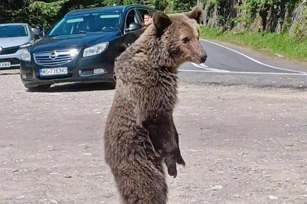 Screenshot 2025-07-05 115414.png