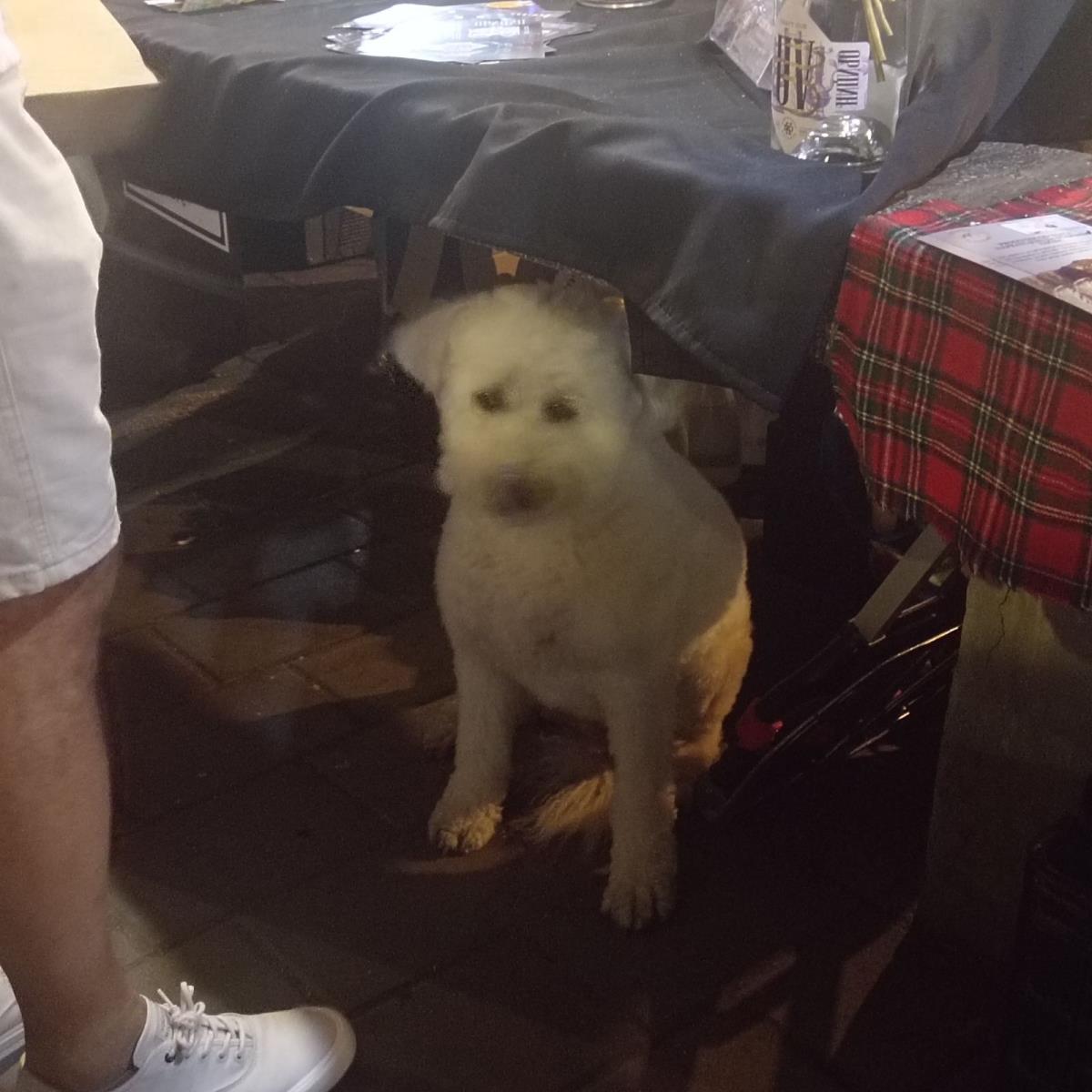 WhatsApp Image 2025-07-05 at 3.48.23 PM (1).jpeg