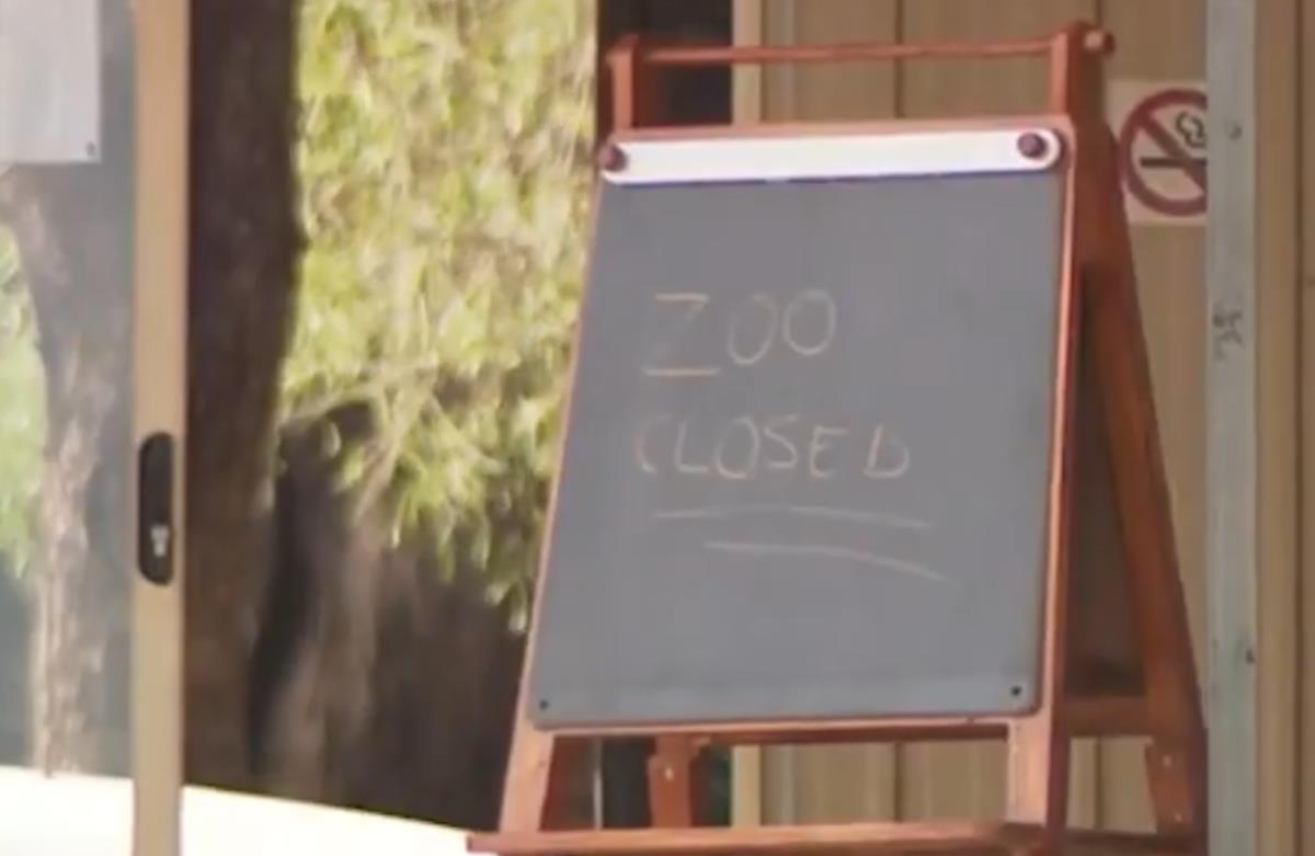 Screenshot 2025-07-06 131720.jpg