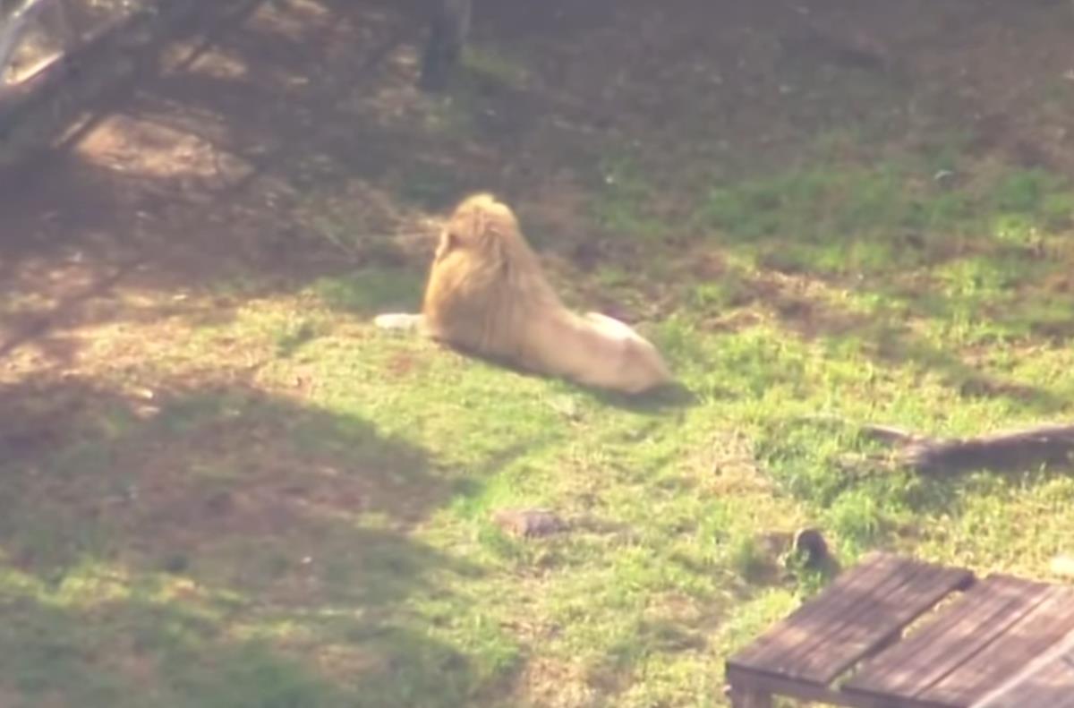 Screenshot 2025-07-06 133856.png