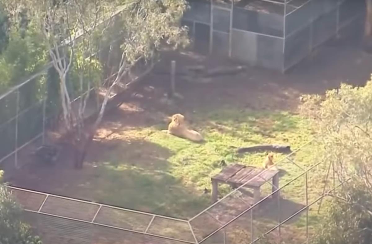 Screenshot 2025-07-06 133901.png