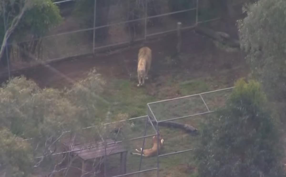 Screenshot 2025-07-06 133913.png