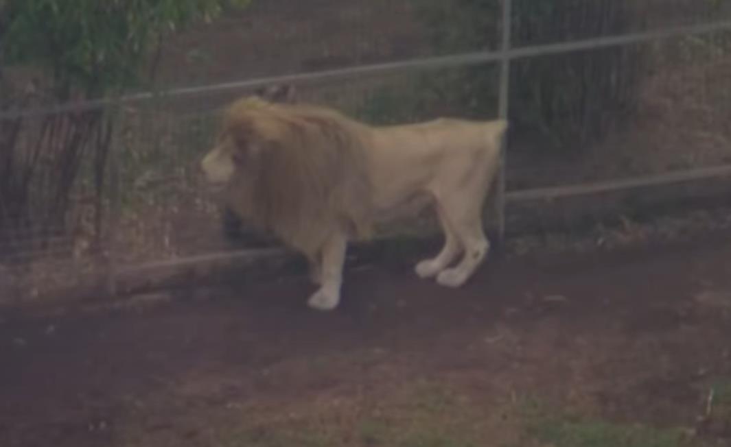 Screenshot 2025-07-06 133916.png