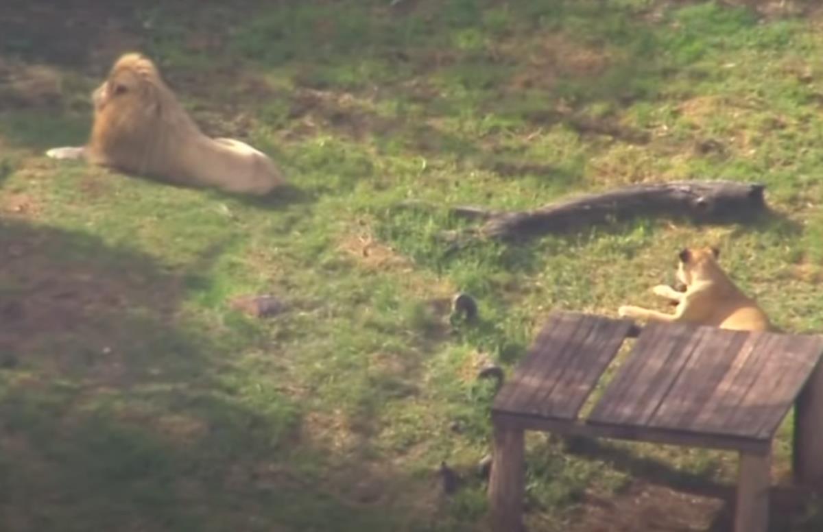 Screenshot 2025-07-06 133919.png