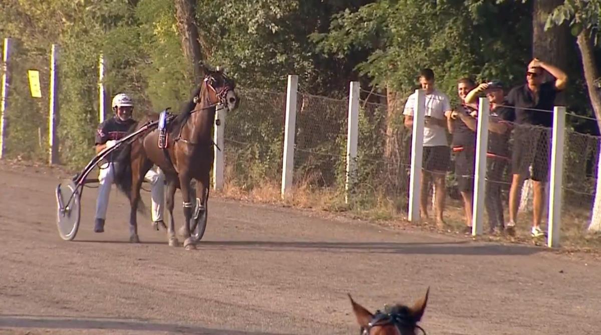 2025-07-06 19_18_52-.jpg