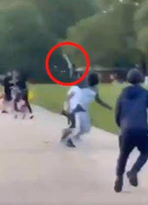 Screenshot 2025-07-07 120603.png