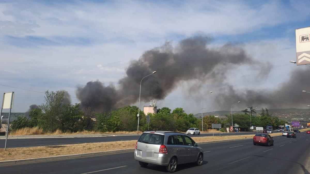 WhatsApp Image 2025-07-07 at 4.22.37 PM (1).jpeg