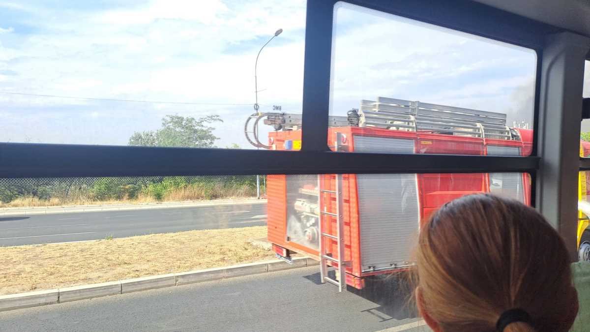 WhatsApp Image 2025-07-07 at 4.23.43 PM.jpeg