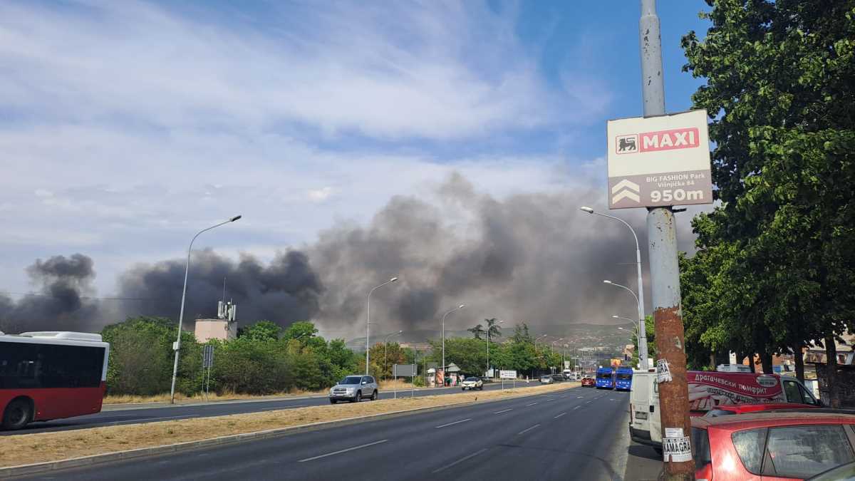 WhatsApp Image 2025-07-07 at 4.22.47 PM (1).jpeg