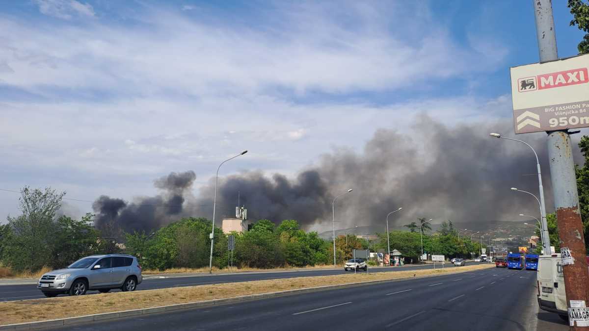 WhatsApp Image 2025-07-07 at 4.22.47 PM.jpeg