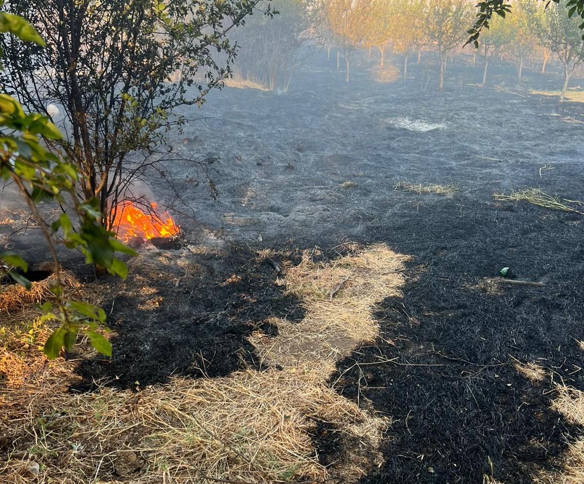 zitni potok trenutno.jpg