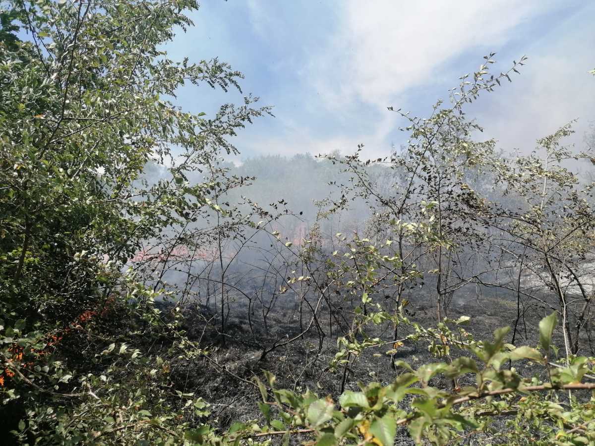 WhatsApp Image 2025-07-08 at 10.48.19 AM.jpeg