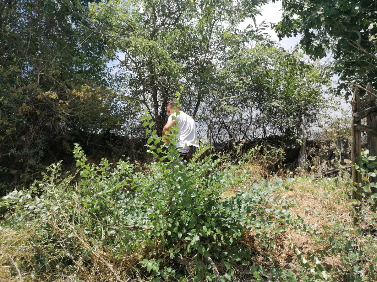 Požar nadomak Prokuplja