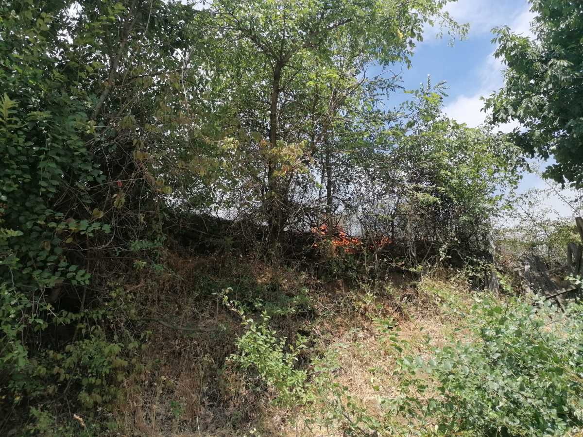 Požar nadomak Prokuplja