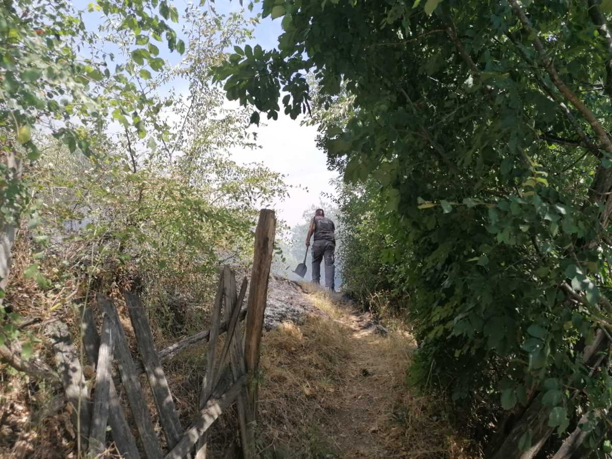 Požar nadomak Prokuplja