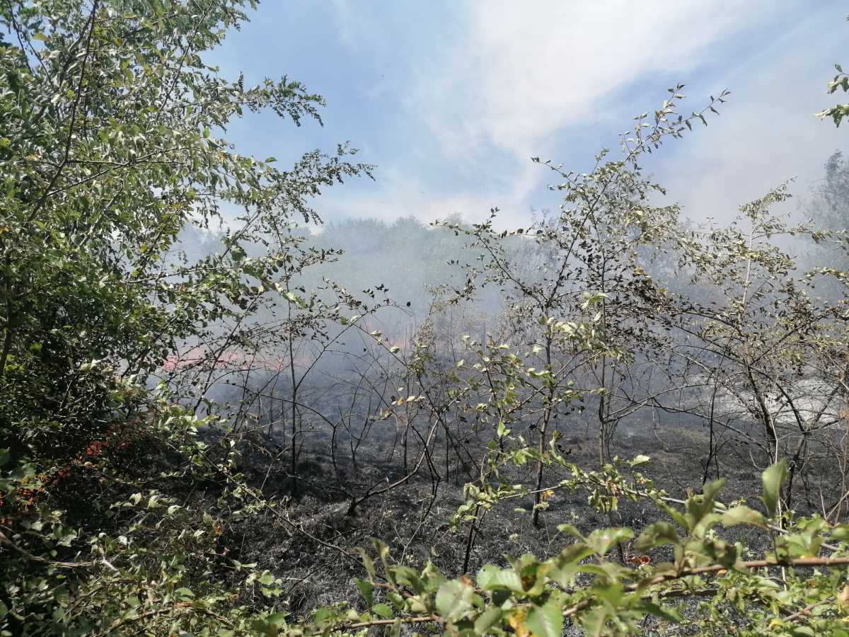 Požar nadomak Prokuplja