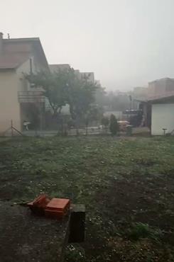 Screenshot 2025-07-08 125613.png