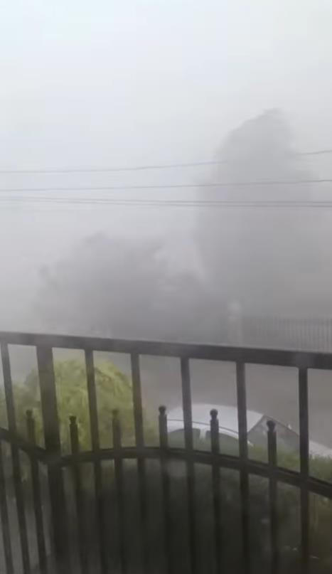 Screenshot 2025-07-08 125730.jpg